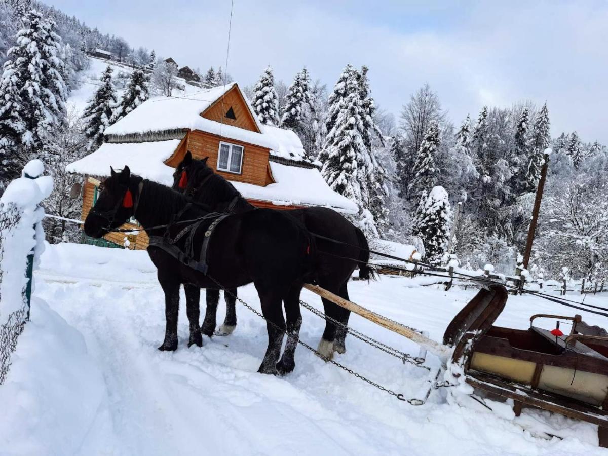 Cottage "Kliverent" Yaremche Exterior foto